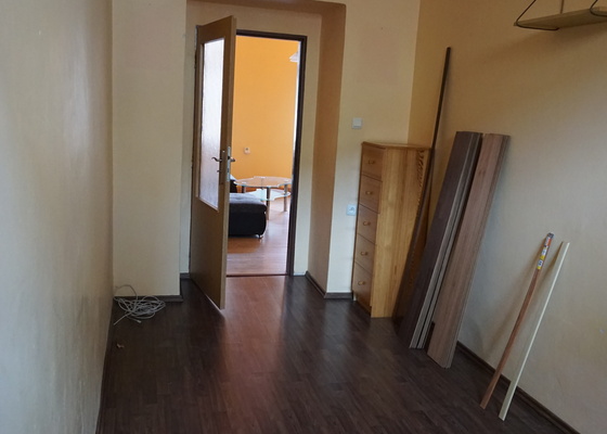 Vymalovani bytu (3 pokoje, kuchyne, WC, koupelna a chodba)