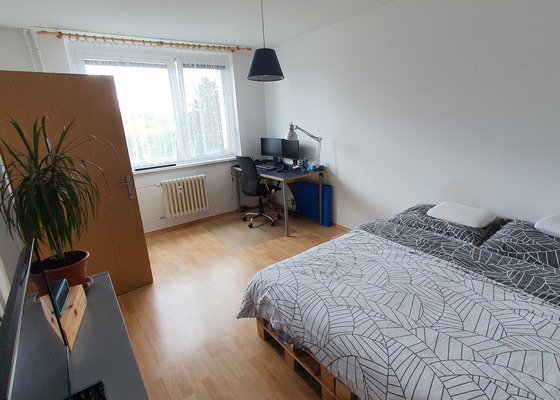Malování bytu, 4 místnosti, 49 m²