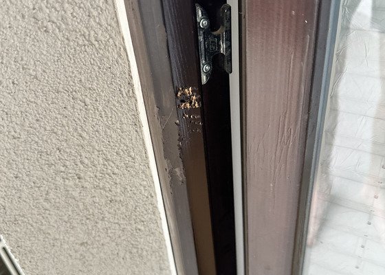 Oprava poškozených dřevěných rámů oka a balkonových dveří