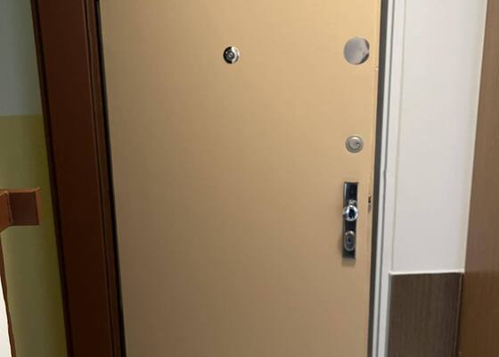 Lakování dveří a zárubní (ke vchodovým dveřím a 1x vnitřních kovových zárubní)