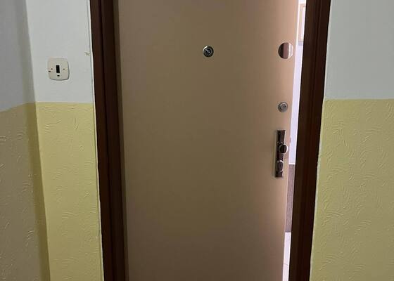 Lakování dveří a zárubní (ke vchodovým dveřím a 1x vnitřních kovových zárubní)