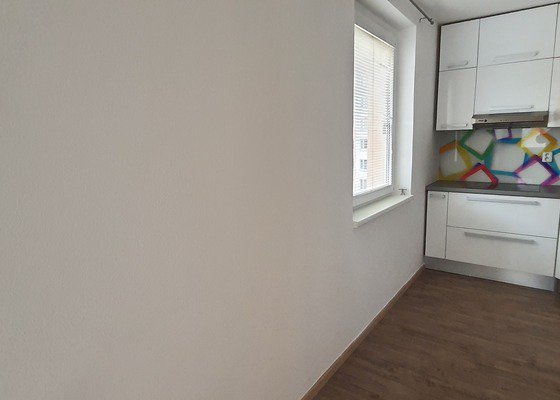 Malování bytu, 4 místnosti, 65 m²