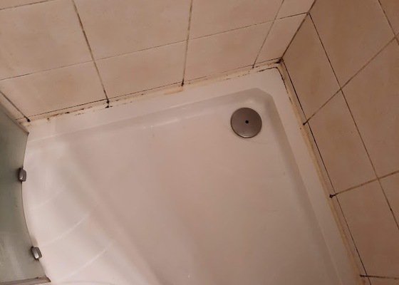 Výměna silikonu kolem sprchové vaničky, oprava odpadu v kuchyni (kape)